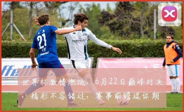 世界杯激情燃烧，6月22日巅峰对决，精彩不容错过，赛事前瞻逗你期待