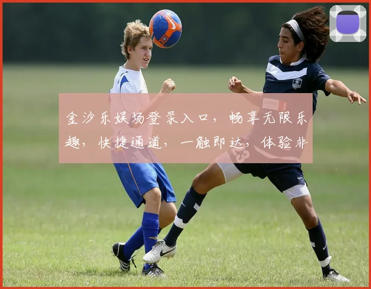 金沙乐娱场登录入口，畅享无限乐趣，快捷通道，一触即达，体验非凡，尽在指尖