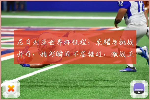 尼日利亚世界杯征程，荣耀与挑战并存，精彩瞬间不容错过，激战正酣