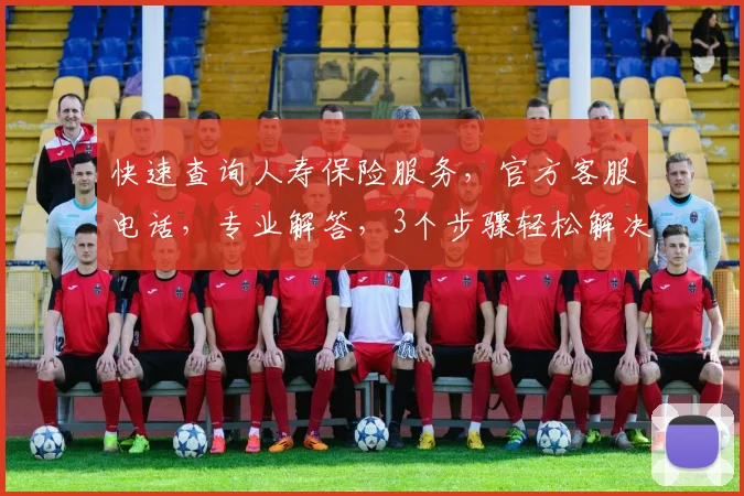 快速查询人寿保险服务，官方客服电话，专业解答，3个步骤轻松解决疑问